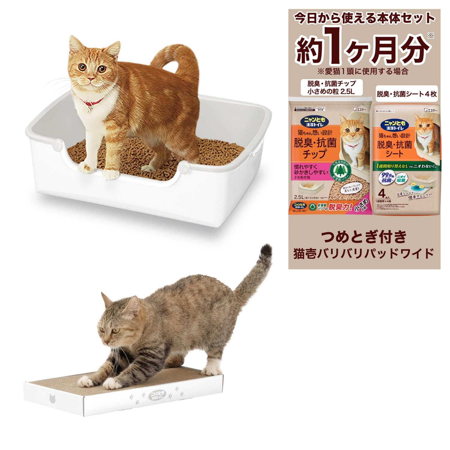 Amazon | ニャンとも清潔トイレ 猫壱 猫 トイレ 本体 つめとぎ セット